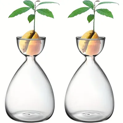 Vases