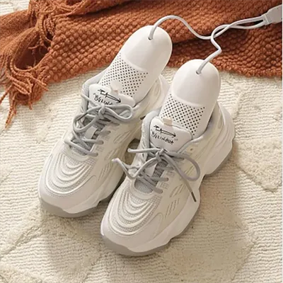 Portable Shoe Dryer Multi-Functional Dehumidification, Deodorization, Foot Warming, Suitable For