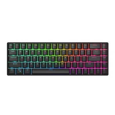 Raven68 Esports Magnetic Axis Keyboard Wired Single Mode PBT Transparent Keycap 8K Return Adjustable