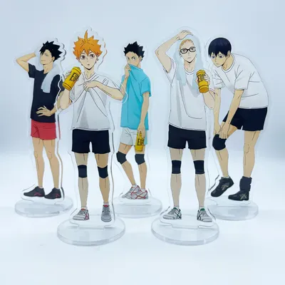 Anime Haikyuu!! Acrylic Stand Volleyball Boys Peripheral Shoyo Hinata Figures Model Desktop Plate