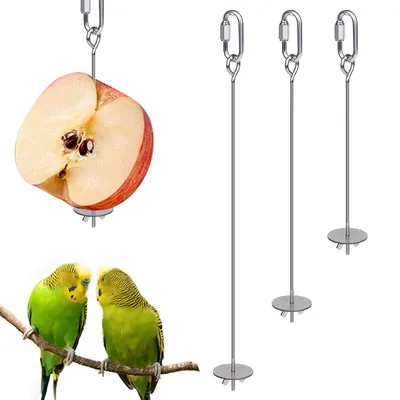 Bird+Supplies