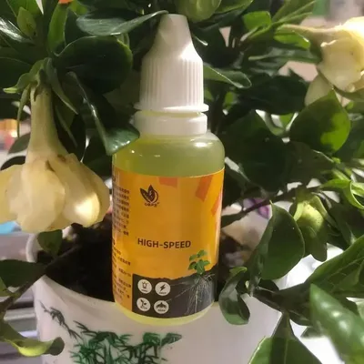 Plant Root Booster Liquid Rapid Rooting Agent Cutting Liquid Fertilizer Nutrient-Rich Formula Rooting Stimulator for Fruit