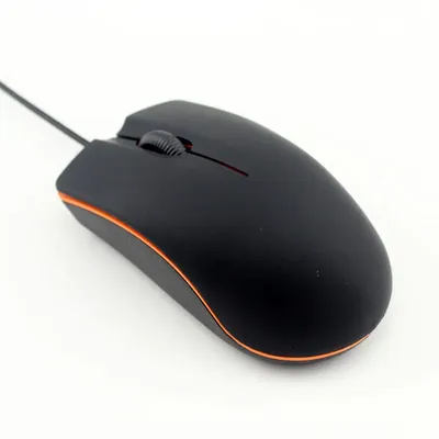 Computer+Gaming+Software