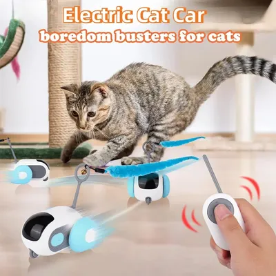 Cat+Supplies
