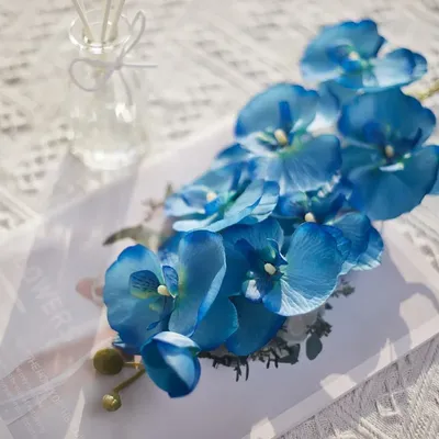 Flowers+Plants
