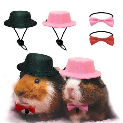 Costume+Hats+Headbands
