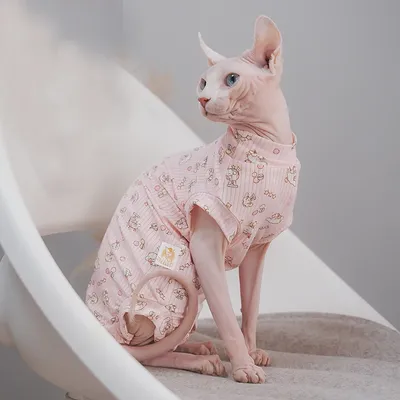 Sphynx Cat Clothes Cotton T-shirt Fashion Cartoon Undercoat For Devon Rex Soft Coat for Dogs Kittens