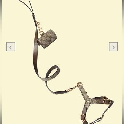Gucci Dog | Gucci Medium Pet Harness, Pet Leash, And Waste Bag Holder Like New | Color: Brown/Tan | Size: Medium (Adjustable)