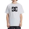 T-Shirt DC SHOES "DC Star", Herren, Gr. L, weiß, 75% Baumwolle, 25% Baumwolle, Kurzarm, Shirts