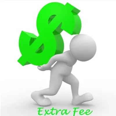 extra shipping fee