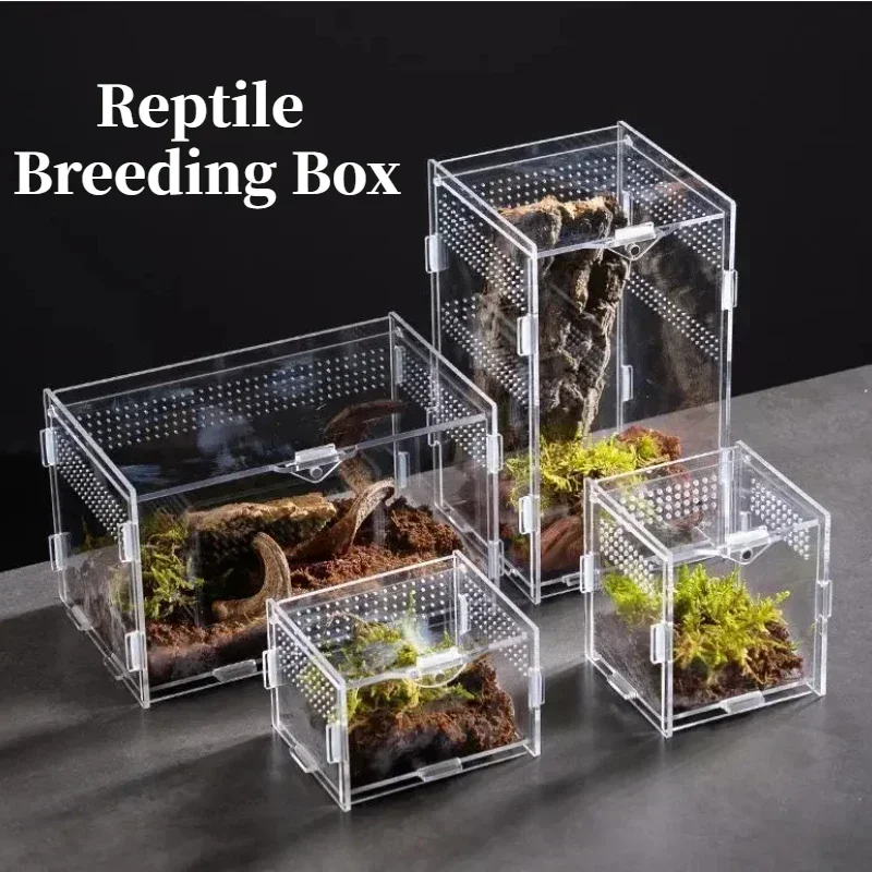 Reptilien Lebensraum Terrarium Zucht box Acryl Fall Nano Arbor eal Tarantel Gehege Spinne Skorpion Bartagamen Lebensraum Image
