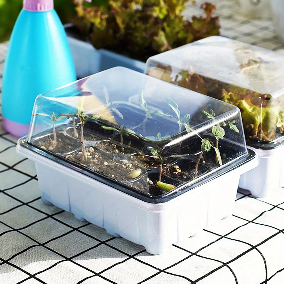 Zellen Sämling Tabletts mit Abdeckung Gewächshaus Pflanze Keimung Box Samen Start Töpfe für Gartenarbeit und Landwirtschaft Image