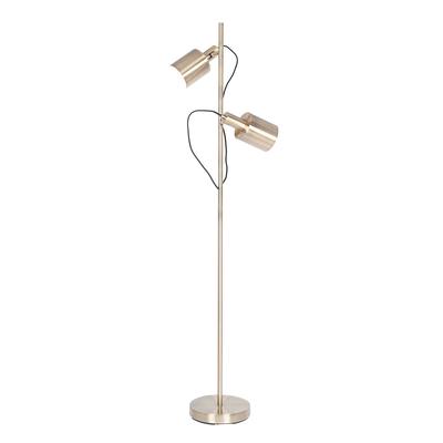 Antique Brass Dual Lit Adjustable Spotlight Floor Lamp