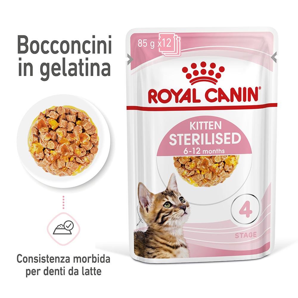 Royal Canin FHN Kitten Sterilised umido in Gelatina per gatti - Set %: 24 x 85 g
