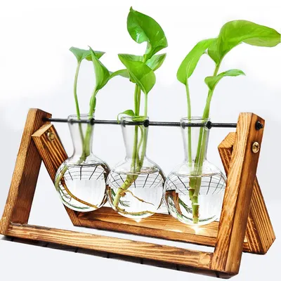 Vases