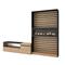 SKRAUT HOME Wohnzimmer-TV-Schrank, Wohnwand-System, 260x35x186cm, Für TV-Geräte bis 65“, Elektrokamin, Moderner Stil, Eiche und Schwarz - 88_15