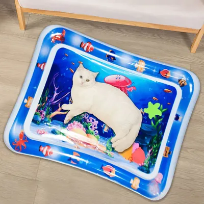 Wasser sensorische Spiel matte mit Fisch sensorische Wasserspiel matte Bauch Zeit Wasserspiel matte Image