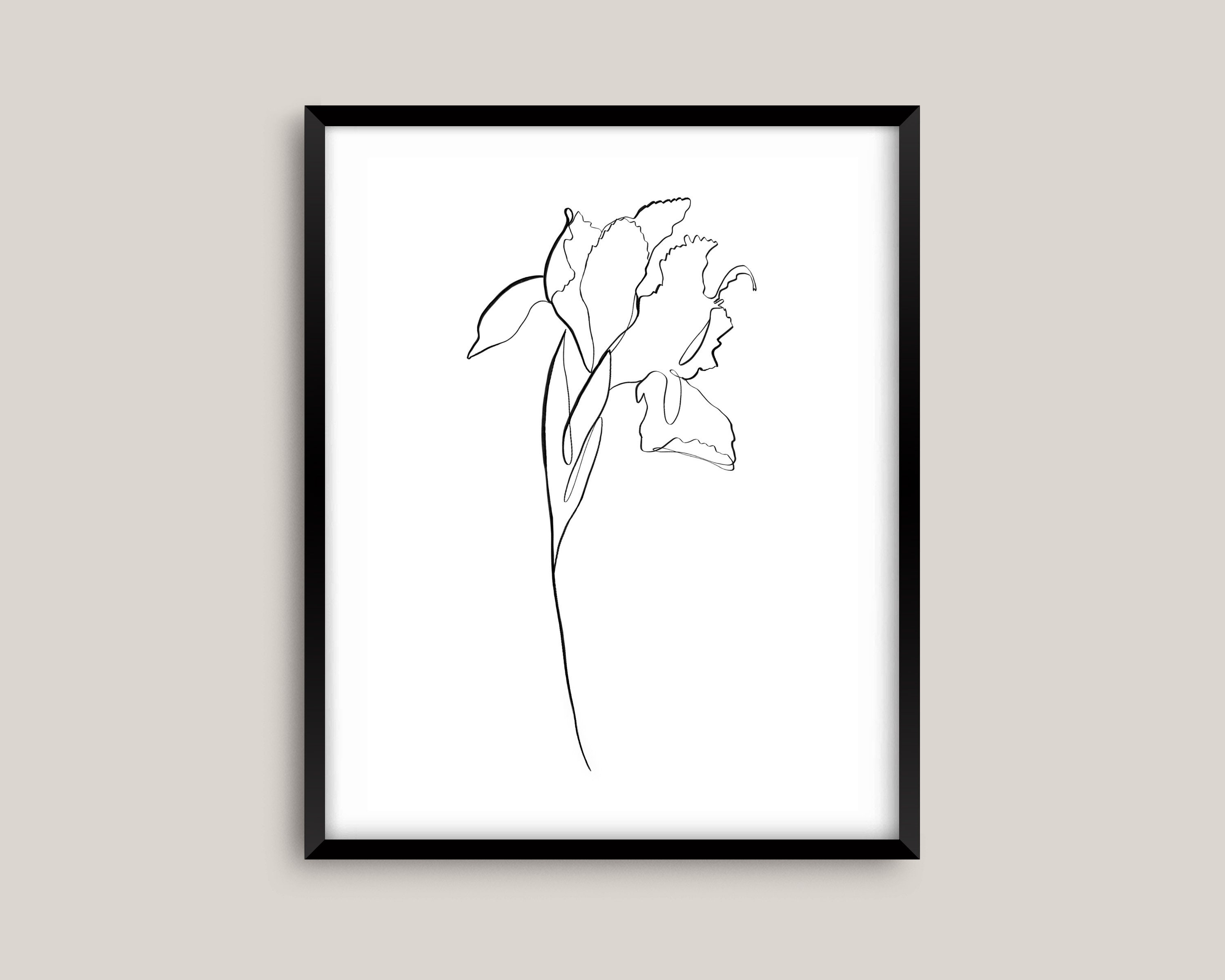 Iris One Line Drawing, Spring Wall Art, Nature Print, Abstract Iris Sketch, Freshly Cut Flower, Clean Line Print, Minimalist Plant