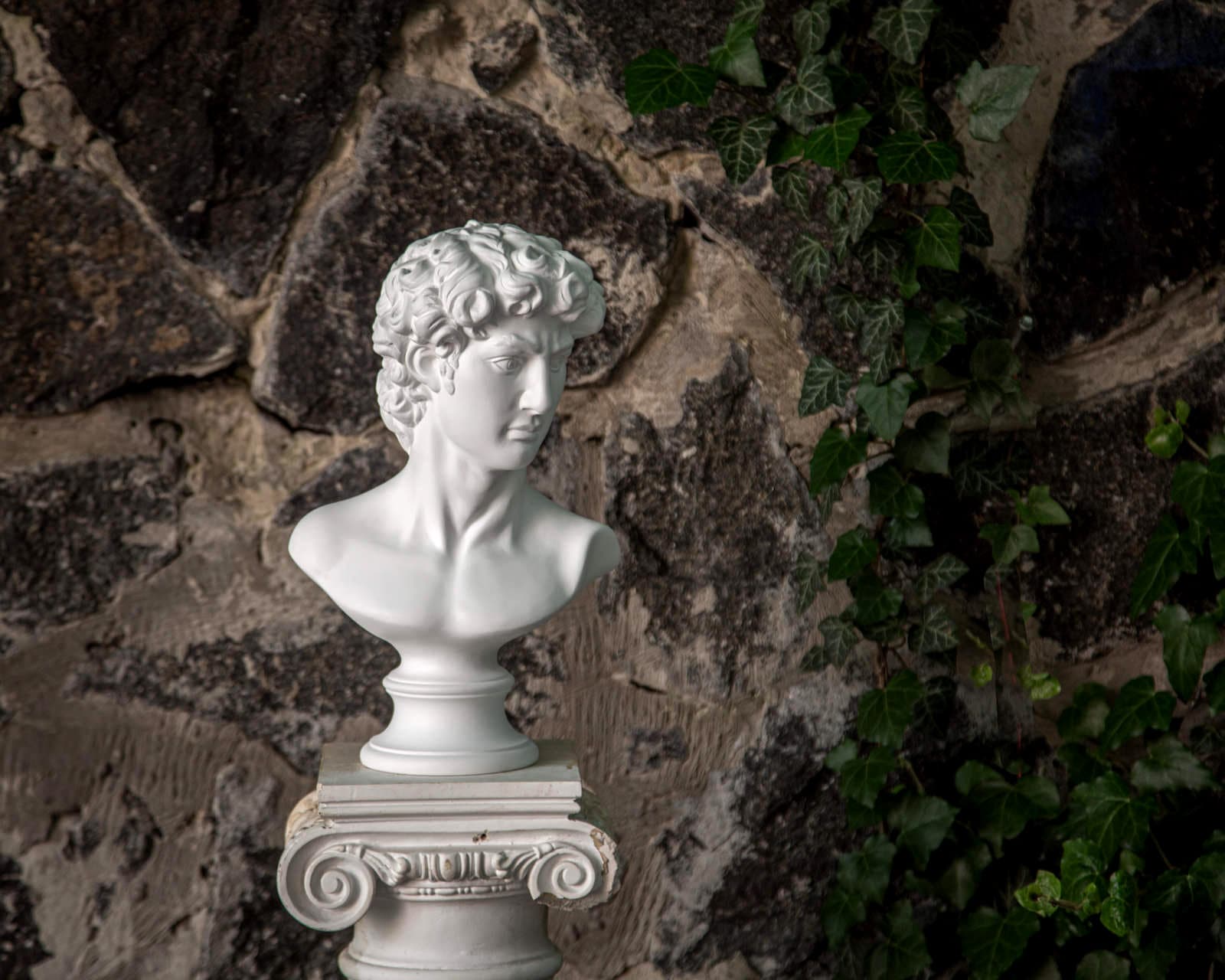 Statua busto greco / Mitologia della scultura romana / Decorazione in gesso per la casa / Busto di David / Statue di testa