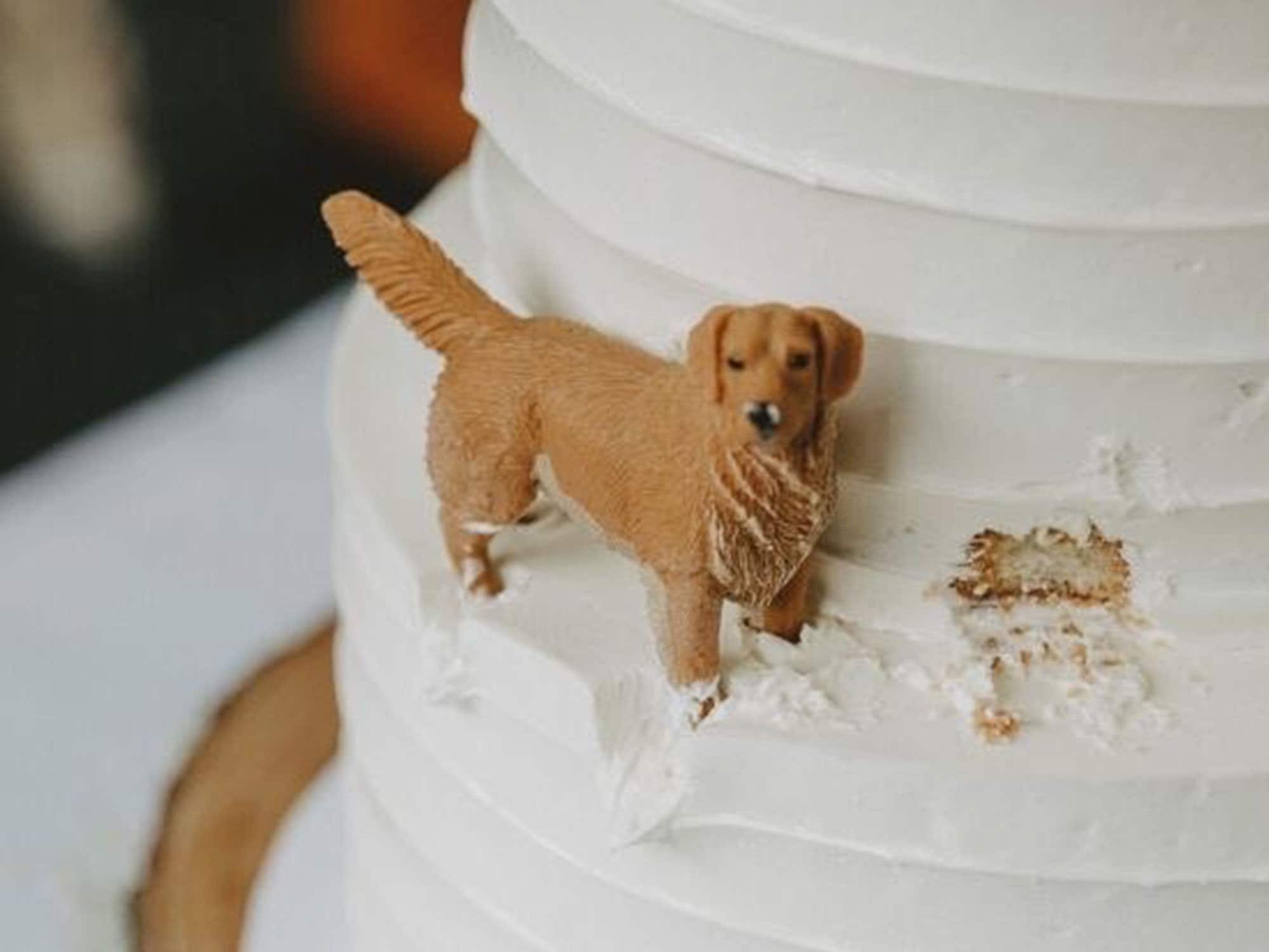 Topper per torta nuziale personalizzato per animali domestici, topper per torta con cane, topper per torta nuziale, topper per torta di compleanno per