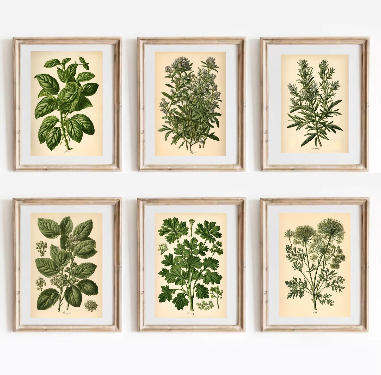 Galleria di pareti da cucina, set di 6 stampe artistiche da parete, stampe di erbe aromatiche, decorazioni artistiche da parete, illustrazioni vintage