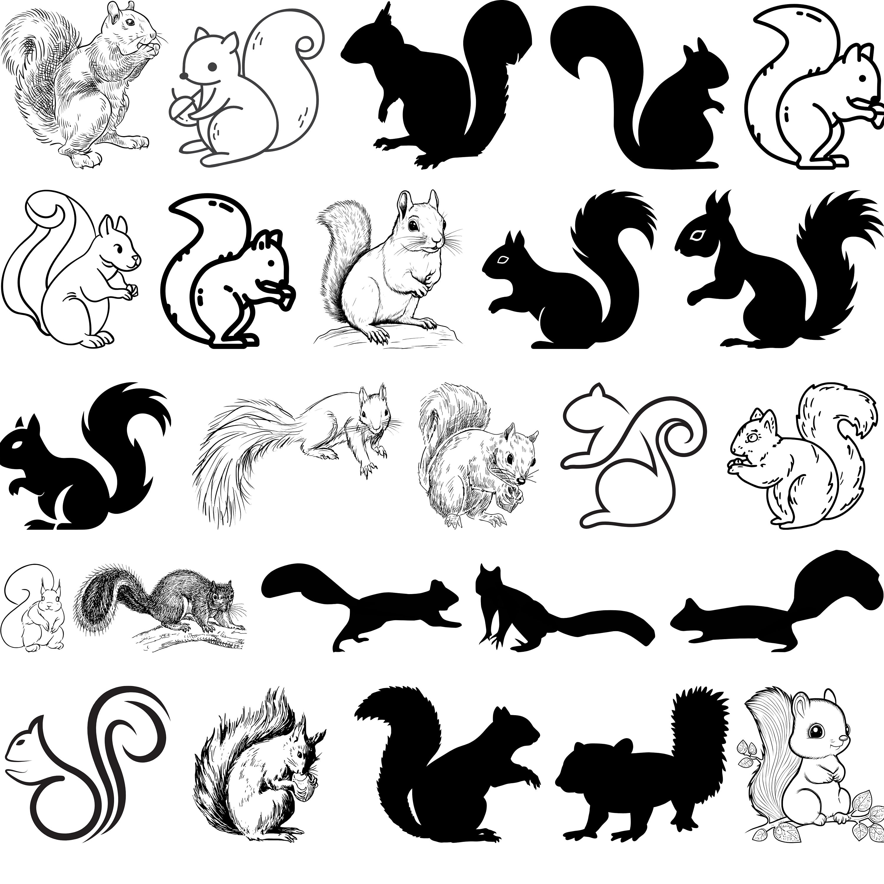 Pacchetto SVG scoiattolo, scoiattolo SVG, silhouette png camicia tagliata file per cricut e silhouette, clipart, download istantaneo, file digitale
