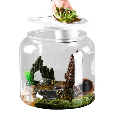 Tank für Schildkröten, transparentes Schildkröten-Aquarium, Schildkröten-Tank mit Deckel, Image
