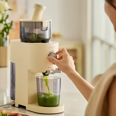 13CM Large Caliber Juicer Home Low-speed Juicer Multifunctional Fruit Vegetable Screw Slow Juicer