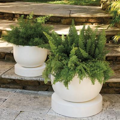 Prynn Planter with Saucer - Large - Ballard Designs