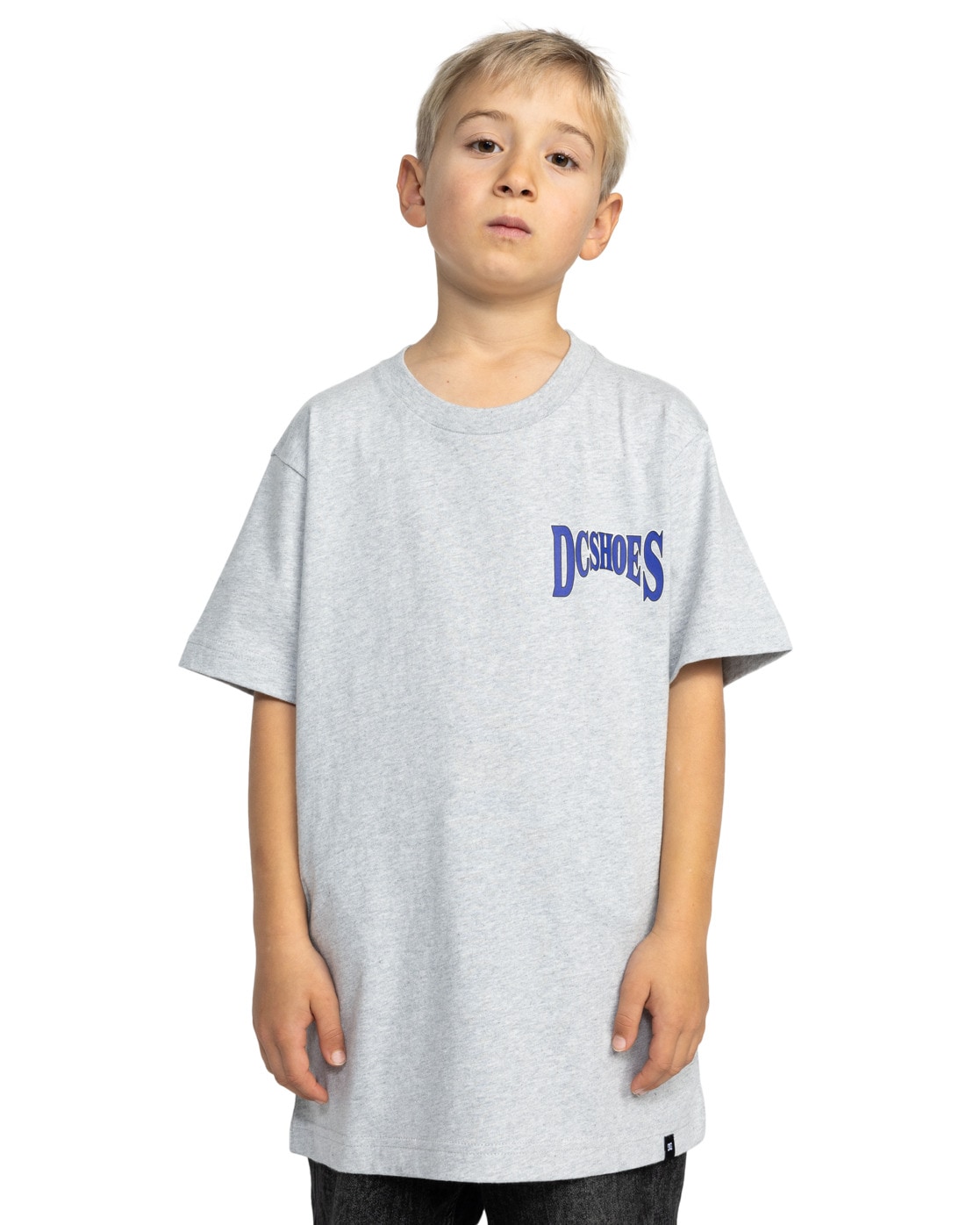 Shirttop DC SHOES "Members Only", Jungen, Gr. 16(165-172cm), grau (light erdgrau), [Hauptstoff] 75% Baumwolle, 25% recycelte Baumwolle, Tops Shirttop