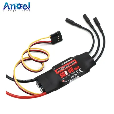 Hobbywing Brushless ESC 40A 50A 80A 100A V2 Drone ESC 2-4S Skywalker Speed Controller With BEC/UBEC