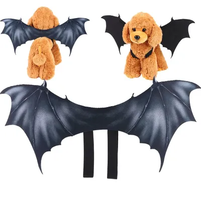 Pet+Costumes