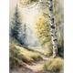 Betulle che dipingono il sentiero nel bosco, immagini ad acquerello, stampa artistica, poster di grandi dimensioni, soggiorno, paesaggio soleggiato, s