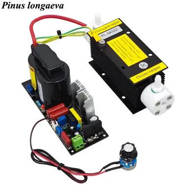 CE FCC ROHS Patented product 3G/H 3grams 3000mg adjustable ozone generator kit air sterilization