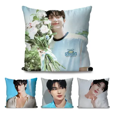 1pc Koreanische Promi Byeon Wooseok Kissen Fall Quadrat Kissen Schlafzimmer Sofa Freizeit Komfort Auto Wohnzimmer Hause Dekoration 40X40 Image