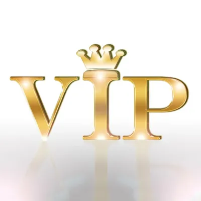 VIP PAYMENT LINK