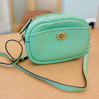 Coach Bags | Authentic Coach Camera Bag In Pale Pistachio! | Color: Green | Size: Os