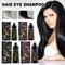 100ml Black Color Hair Dyeing Shampoo 3-in-1 Natural Herbal Instant Coloring Shiny Hair Dye Shampoo