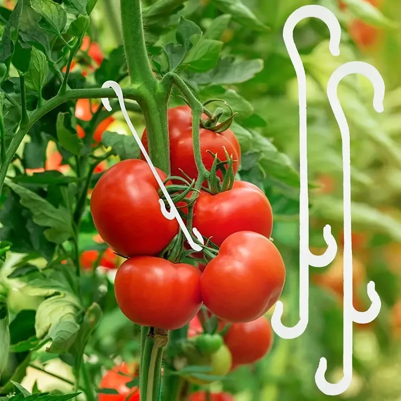 10 stücke Tomaten stütz haken J-Haken-Stütz clips verhindern, dass Tomaten zweige brechen oder von der Stütze fallen Image