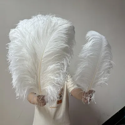 10/50/100/200 PCS Natural White Ostrich Feather 15-75cm/6 to 30inches Ostrich Plumage Wedding