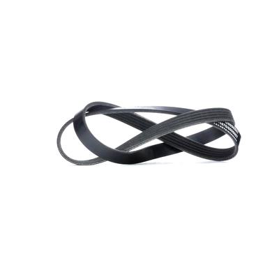 RIDEX Keilrippenriemen AUDI,RENAULT,HYUNDAI 305P0212 07L903137E,4451A104,MD199223 Rippenriemen MN155728,1172000QAN,079903137T,38920RB0004,2521239800 Image