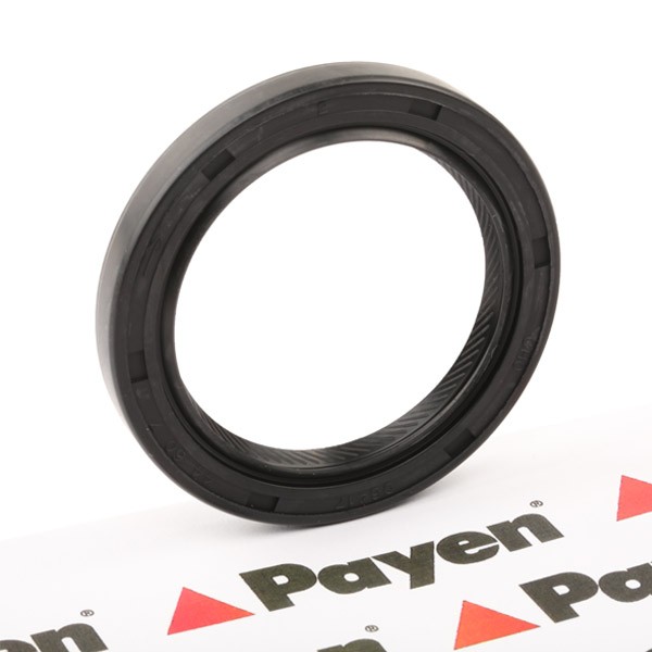 PAYEN Kurbelwellendichtring FIAT,HYUNDAI,KIA NJ005 2142133114,MD008882,MD050606 MD069949,MD168061 Image