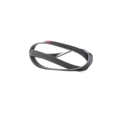 RIDEX Keilrippenriemen AUDI,BMW,RENAULT 305P0242 5750TN,117207930R,117204P100 Rippenriemen 9091602326,028260849H,96144514,3470280,31110P8BJ01 Image