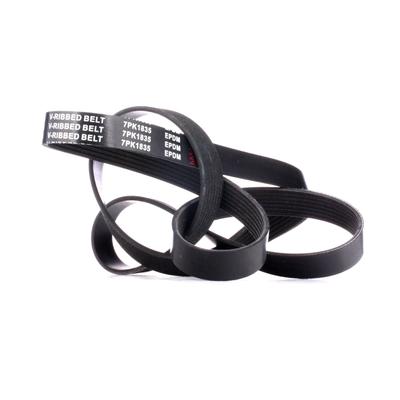 RIDEX Keilrippenriemen OPEL,RENAULT,NISSAN 305P0385 809225000,1172000Q1G,4434612 Rippenriemen 93198391,8200778717 Image