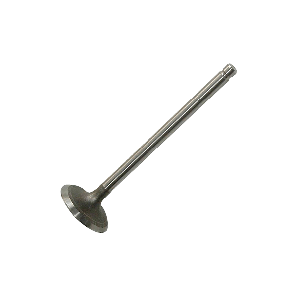 AE Einlaßventil VW,SEAT V80010 03C109601L Image