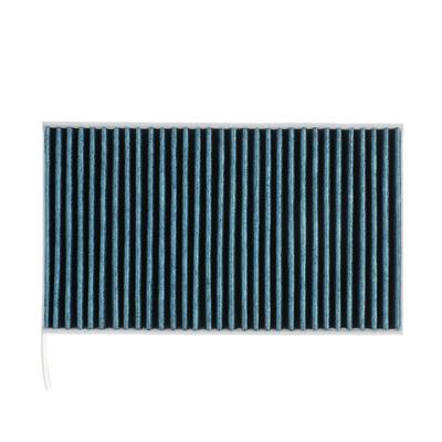RIDEX PLUS Innenraumfilter TESLA 424I0645P 110768100A,110768100B,110768100C Image