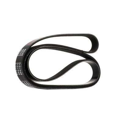 RIDEX Keilrippenriemen OPEL,FORD,FIAT 305P0308 55218886,1372762,1340A158 Rippenriemen C2Z13672,CX238620AA,9091602516,9658144480,9091602727,1340036 Image