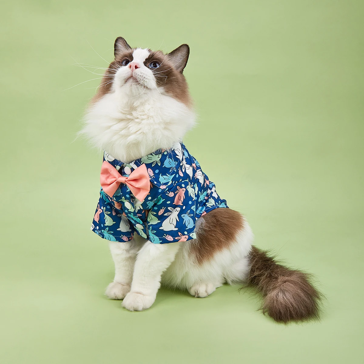 Hunde-Ostern-Tag-Kleidung für kleine Hunde, Hemd, niedliches Kaninchen-bedrucktes Kostüm, Welpen-Pyjama mit Hasenmuster, Hunde-Haustierkleidung, Schleife, T