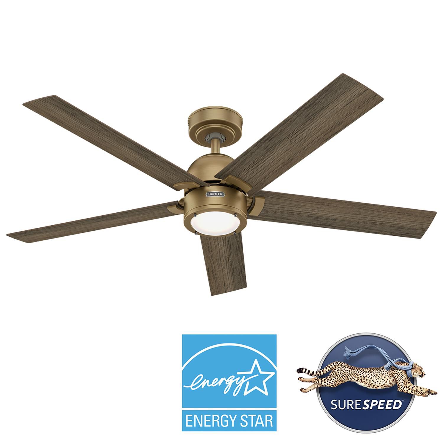 Hunter Fan Erling 52 Inch Ceiling Fan with Light Kit - 52849
