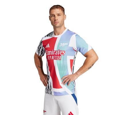 FC Arsenal adidas 24/25 Pre-Match Shirt Image